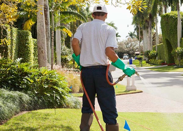 About East Freedom PA Pest Control